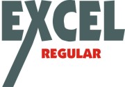 Excel Regular (Economical high foaming powder laundry detergent)